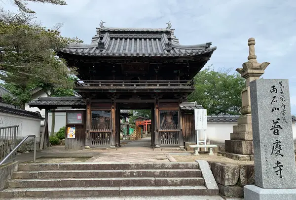 普慶寺の写真・動画_image_368322