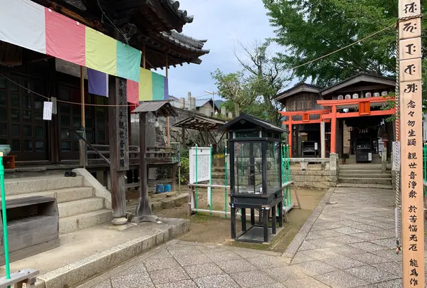 普慶寺の写真・動画_image_368323