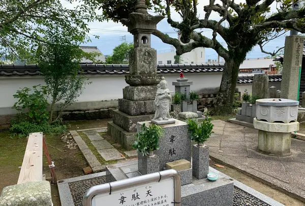 普慶寺の写真・動画_image_368324