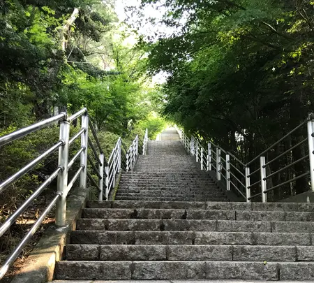 新倉山浅間公園の写真・動画_image_368387
