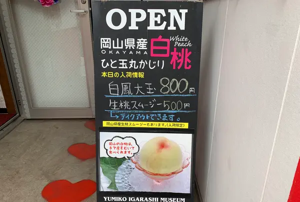 いがらしゆみこ美術館の写真・動画_image_368518