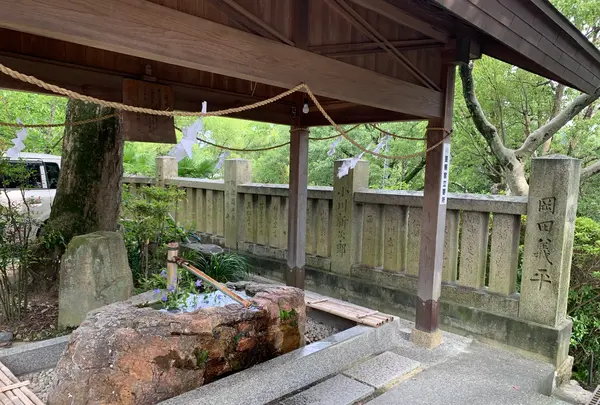 阿智神社の写真・動画_image_368606