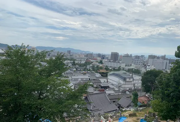 阿智神社の写真・動画_image_368613