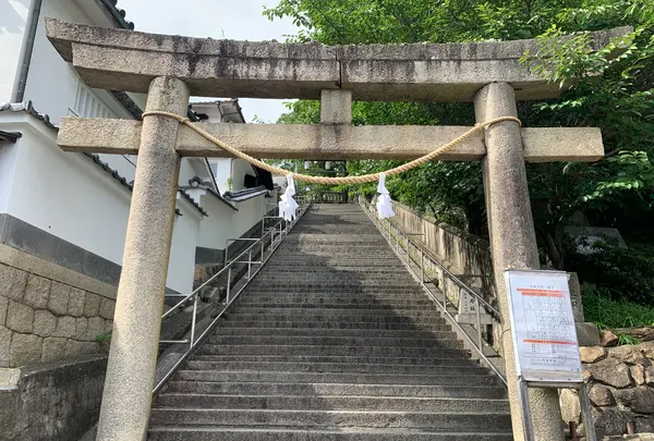 阿智神社の写真・動画_image_368614
