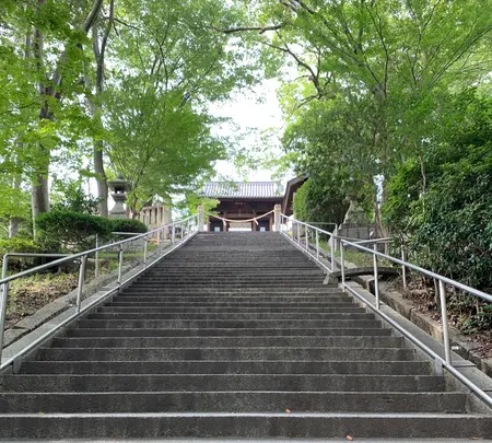 阿智神社の写真・動画_image_368616