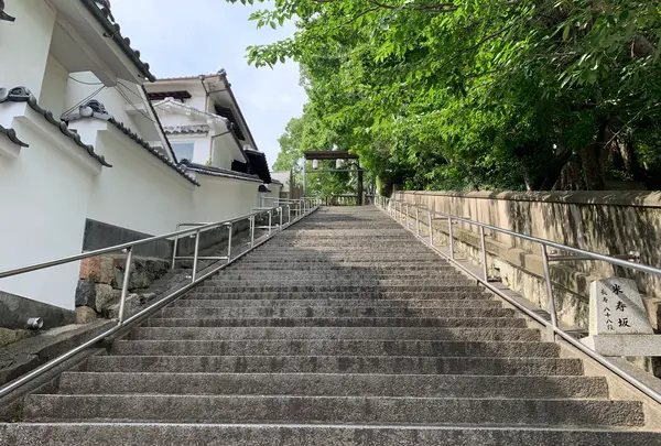 阿智神社の写真・動画_image_368618