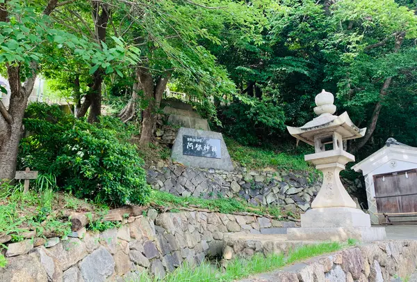 阿智神社の写真・動画_image_368619