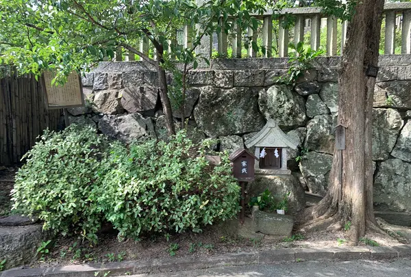 阿智神社の写真・動画_image_368620