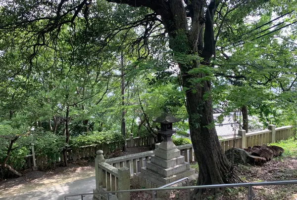 阿智神社の写真・動画_image_368621