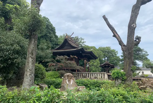 阿智神社の写真・動画_image_368624
