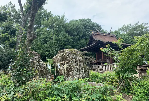 阿智神社の写真・動画_image_368625