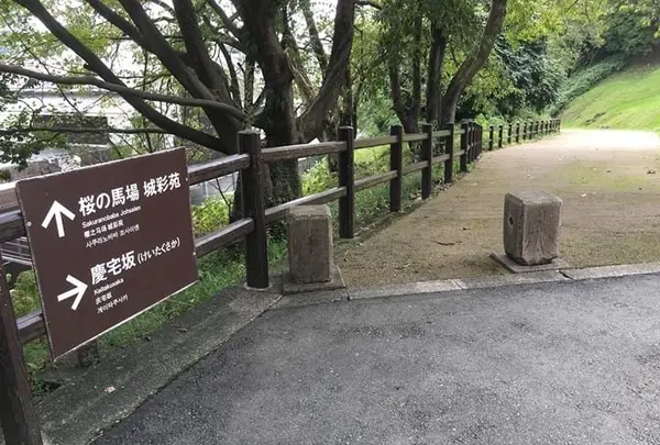 熊本城の写真・動画_image_368872