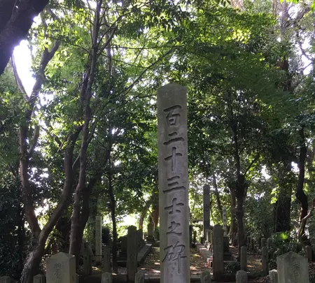 桜山神社の写真・動画_image_368880