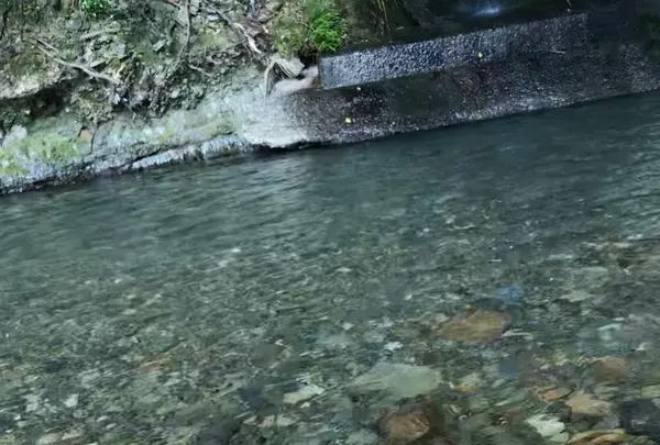 わたらせ橋の写真・動画_image_368899