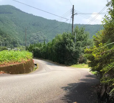 わたらせ橋の写真・動画_image_368901