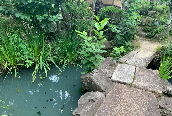 新渓園の写真・動画_image_369145