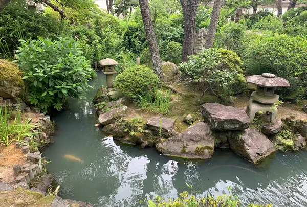 新渓園の写真・動画_image_369150
