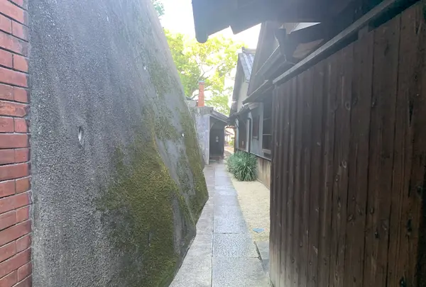 旧野﨑家住宅の写真・動画_image_369401