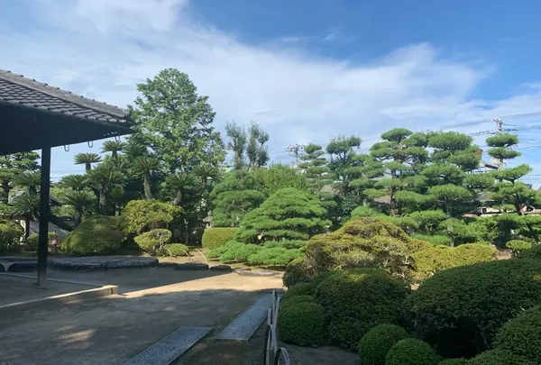 旧野﨑家住宅の写真・動画_image_369409