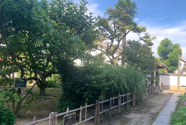 旧野﨑家住宅の写真・動画_image_369415