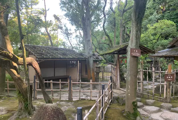 旧野﨑家住宅の写真・動画_image_369418