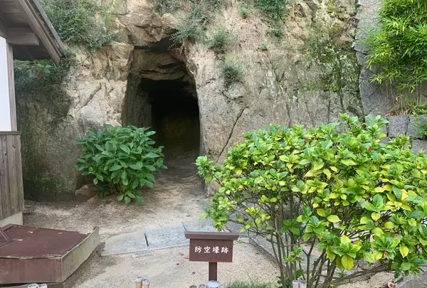 旧野﨑家住宅の写真・動画_image_369419