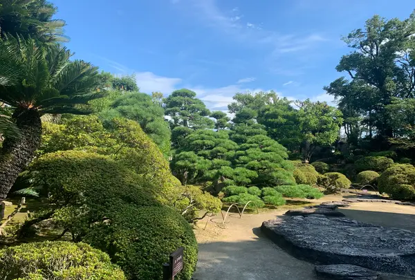 旧野﨑家住宅の写真・動画_image_369421