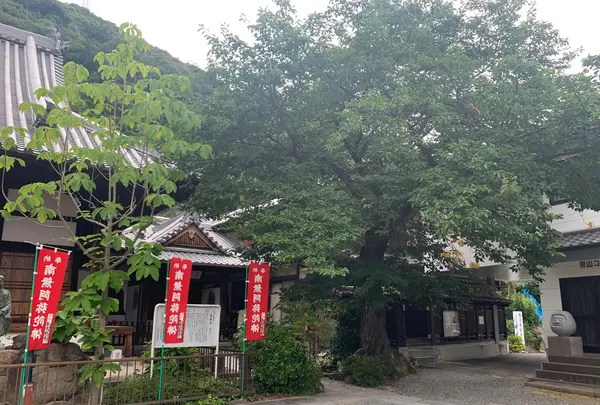 極楽寺の写真・動画_image_369622