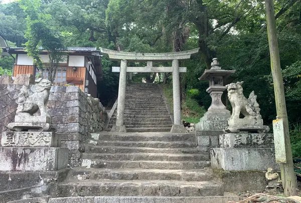 極楽寺の写真・動画_image_369627