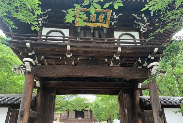 照蓮寺の写真・動画_image_370417
