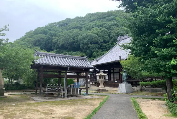 照蓮寺の写真・動画_image_370418