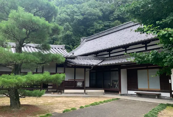 照蓮寺の写真・動画_image_370419
