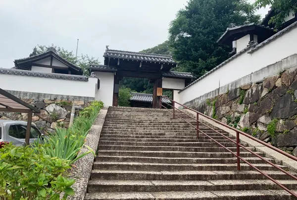 照蓮寺の写真・動画_image_370420