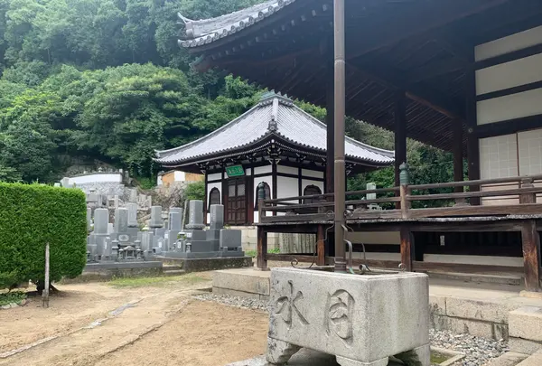 照蓮寺の写真・動画_image_370421