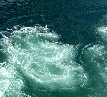 渦の道の写真・動画_image_370801