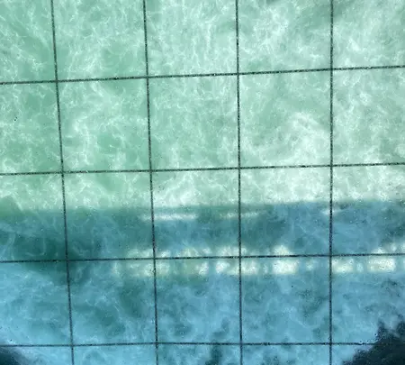 渦の道の写真・動画_image_370802