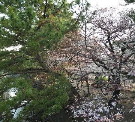 阪急夙川駅の写真・動画_image_371024