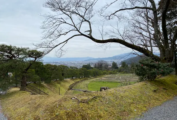 修学院離宮の写真・動画_image_371094