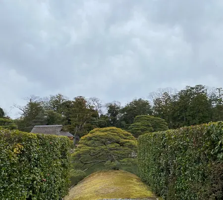 桂離宮の写真・動画_image_371126