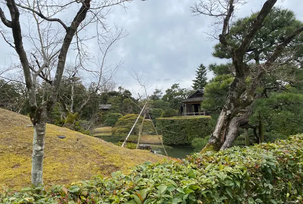 桂離宮の写真・動画_image_371131