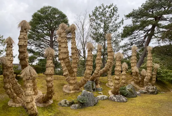 桂離宮の写真・動画_image_371133