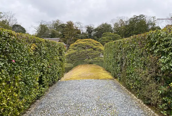 桂離宮の写真・動画_image_371144