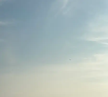 モアナコーストの写真・動画_image_371178