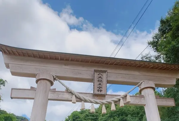八大龍王水神の写真・動画_image_371221