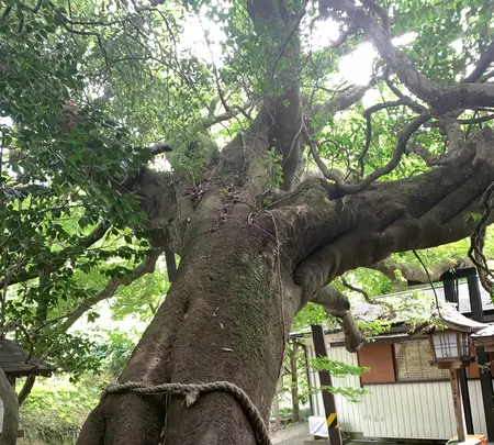 八大龍王水神の写真・動画_image_371224