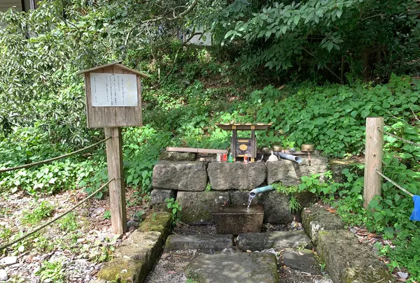 八大龍王水神の写真・動画_image_371225