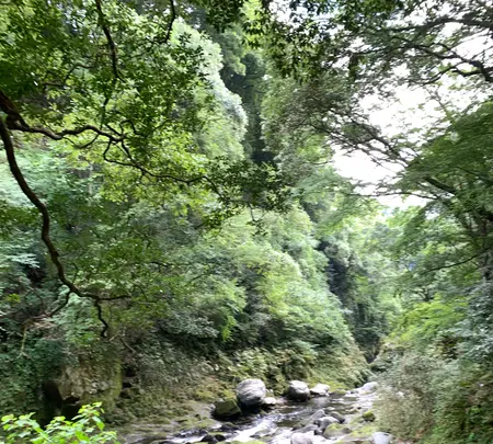 天安河原の写真・動画_image_371229