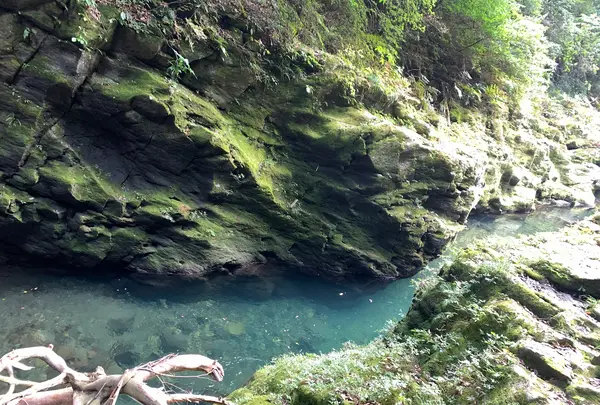 天安河原の写真・動画_image_371231
