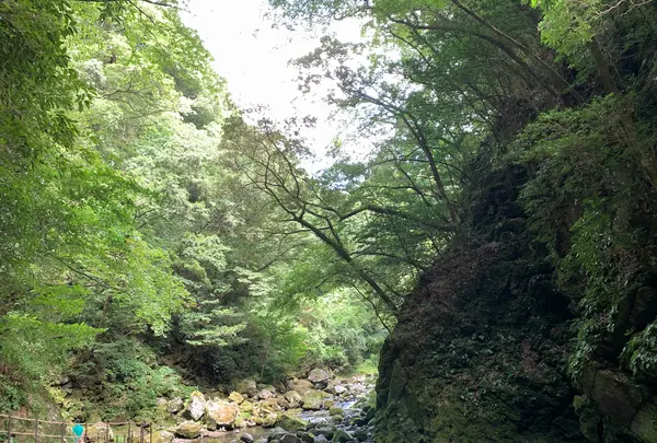 天安河原の写真・動画_image_371233