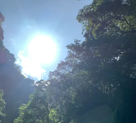 高千穂峡の写真・動画_image_371241